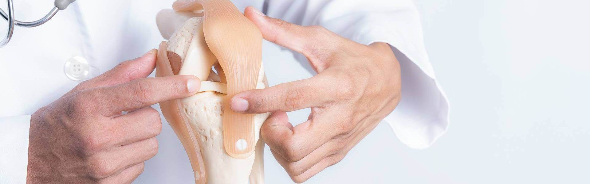 Global Orthopaedic Procedures Market Opportunity 2025